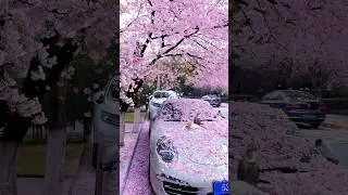 Спидран по Шортам 5