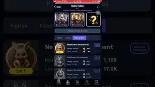 Rocky Rabbit Combo Cards Today 16 July 2024 | 2M Coins | Rocky Rabbit Daily Combo Cards