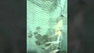 Леший своими руками
