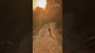 Choti maal gaadi ❤️🚂