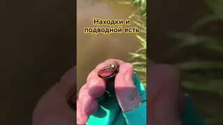 симплекс в деле в воде