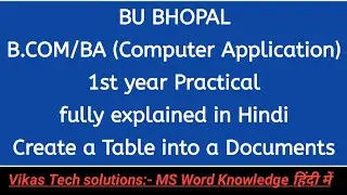 B.com, BA (Computer Application) 1st year Practical | BU Bhopal | B.com 1st year Practical in Hindi