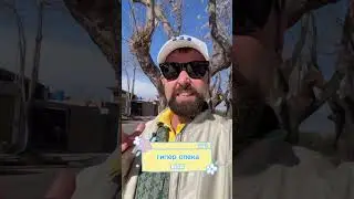 Тебя  не отпускают родители