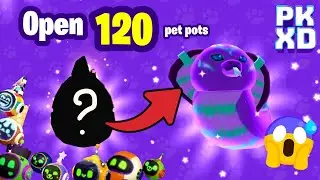 I opened 120 pet pots and I got shiny pet!! In PK XD