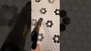 Steam Cleaning a Bathroom with the Wagner 915e On Demand Steamer