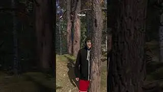 #gigabrain228