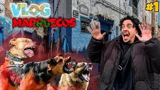 😱NOS ATACAN PERROS CALLEJEROS!!🇲🇦 😰VIAJE A MARRUECOS |PARTE 1