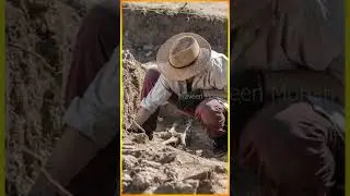 This Was Not Expected. 