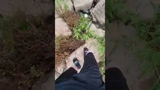 Dead 5 pound bass #rip #viral #like #fishing #fish #subcribe #fyp #fypシ゚viral #sad