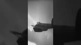 Фронтовые Дуньки. Вы этого не знали.