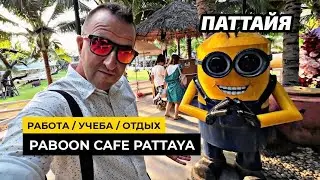 И работаем и отдыхаем все успеваем! Оплатили школу для детей в Паттайе. Кафе PABOON PATTAYA Класс!