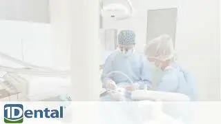 Carrier of the Week:1Dental
