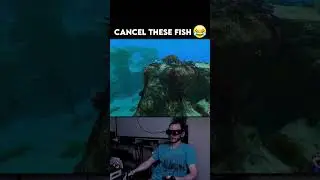 Cancel These Fish 😂 #funny #jumpscare #vr #virtualreality #subnautica