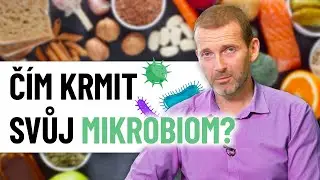Jak si udržet zdravá střeva a co všechno střevní mikrobiom ovlivňuje?