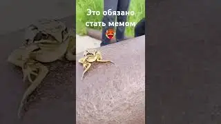 6 августа 2024 г.