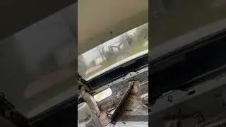 Оно едет