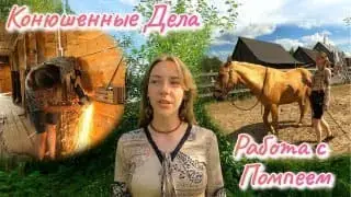 My Day at the Stables | Hands-on with Pompey