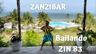 Zumba - Bailando - ZIN 83 | Barb Zumba Dance
