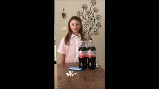 Diet Coke and Mentos Fountain