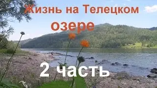 Телецкое озеро 2 часть