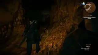 Witcher 3   Bloody Baron   How to Climb Through The Old Well
