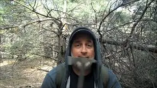 Живопись и Томагавк