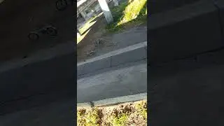 #мост