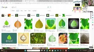 អនុមោទនា ពិធីបុណ្យមាឃបូជាadobe photoshopPS12