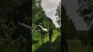 Фотосессии с Лошадьми в Тарусе, конные прогулки 