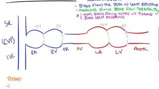Physics of Murmurs and Maneuvers 1