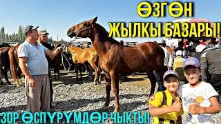 ӨСПҮРҮМ РАБОЧИЙ АТТАР 🤯 #байтв