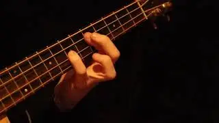 Lunar Sea - Camel (Bass Cover)