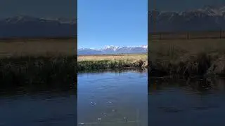 Rainbows and Mountains #fishing