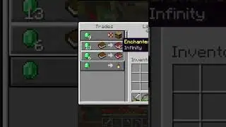 Minecraft HOW??? Why is there infinity times 2???