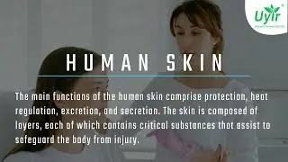 Understand the background of Human Skin!