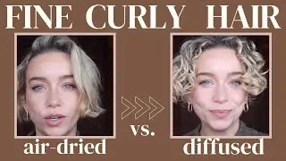 Why You Need to Diffuse your Fine, Curly Hair