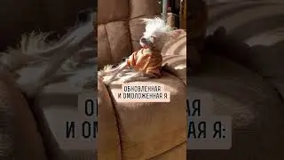 Девочки, нас обманули😅 #смешныевидео #роды #беременность #юмор #дети #смешныеживотные