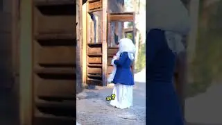 Как считаете, правда 🐎 просил песню? Или она тянула время, чтобы не угостить, т.к. боялась?