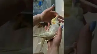 релакс)))