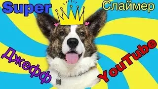 Собака управляет моим слаймом🐶/мама съела собачьи консервы😱