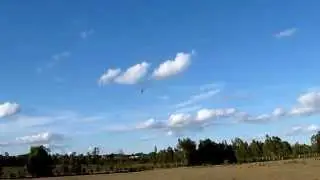 T-REX 450 flying in the 