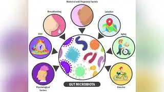Gut Microbiome🦠|Intro|Part 1| #guthealth  #gutmicrobiome