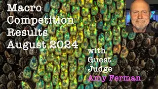 Allan Walls Photography - Competition Results -  August 2024