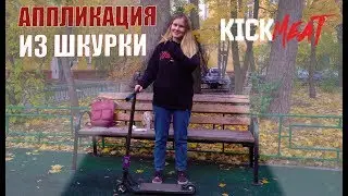Аппликация из шкурки