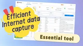 Efficient Internet data capture essential tool!#ip #data #webcrawler#s5 #proxy #922s5#global