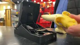 Say Goodbye to Rodents with Power Cat Rat & Mouse Traps! 🐭
