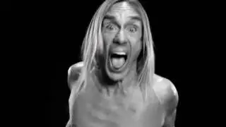 -It's...IGGY-