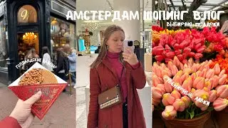 Амстердам шопинг влог|голландский сыр, делфтский фарфор и РЕМОНТ В НОВОЙ КВАРТИРЕ