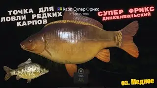 оз. Медное Русская рыбалка 4 (РР4) Точка для ловли редких Карпов