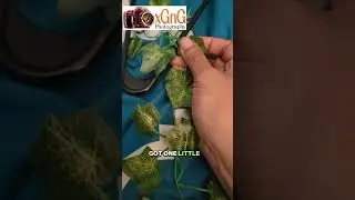 Crafting Ivy garland love curtain